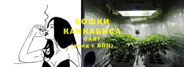 молекула духа Вязники
