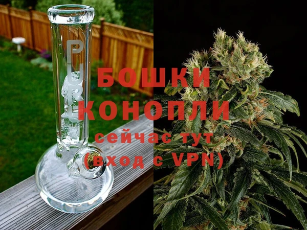 молекула духа Вязники