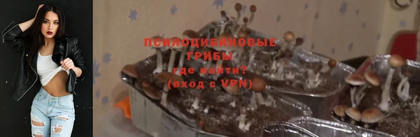 молекула духа Вязники